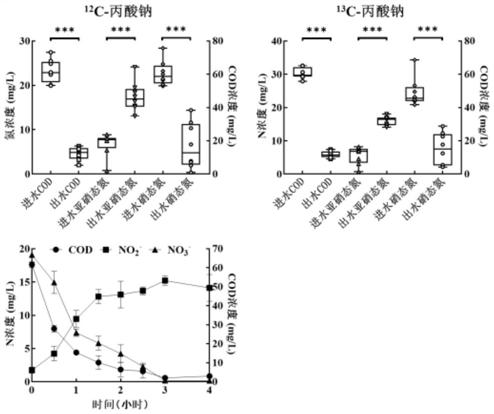 A method for simultaneous identification of short-range denitrifying bacteria and triclosan-degrading bacteria based on DNA stable isotope nucleic acid probe technology