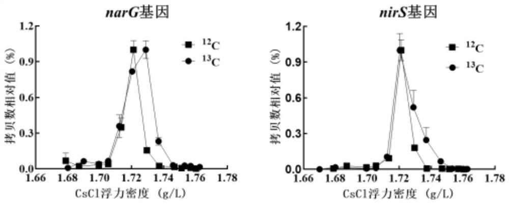 A method for simultaneous identification of short-range denitrifying bacteria and triclosan-degrading bacteria based on DNA stable isotope nucleic acid probe technology