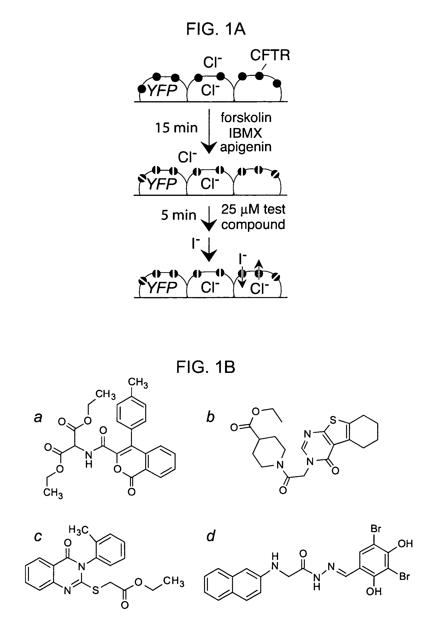 Hydrazide-containing CFTR inhibitor compounds and uses thereof