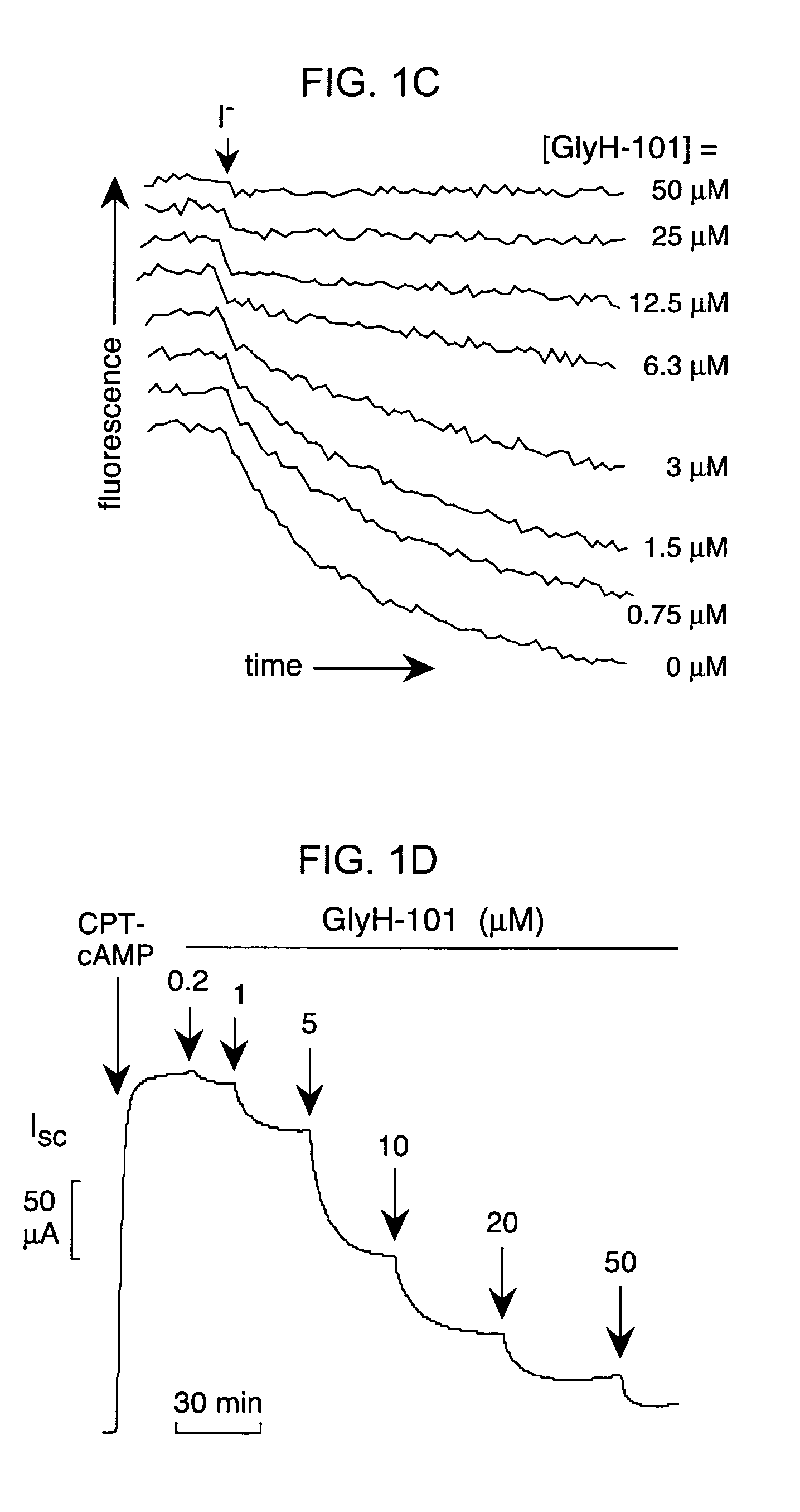 Hydrazide-containing CFTR inhibitor compounds and uses thereof