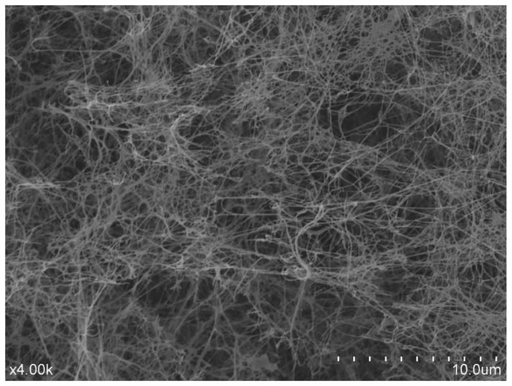Preparation method of bacterial cellulose membrane for oil-water separation and with pore diameter adjusted by potato starch