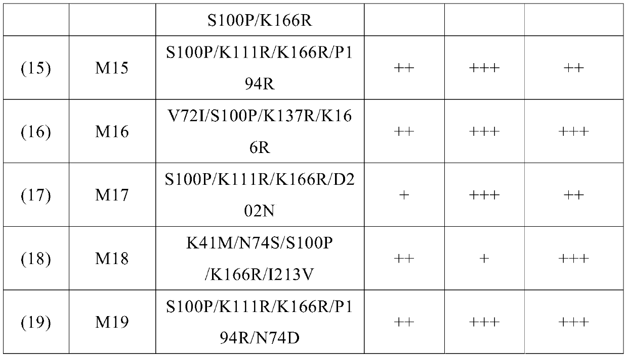 Glucose dehydrogenase mutant with chemical tolerance and application thereof in coenzyme regeneration