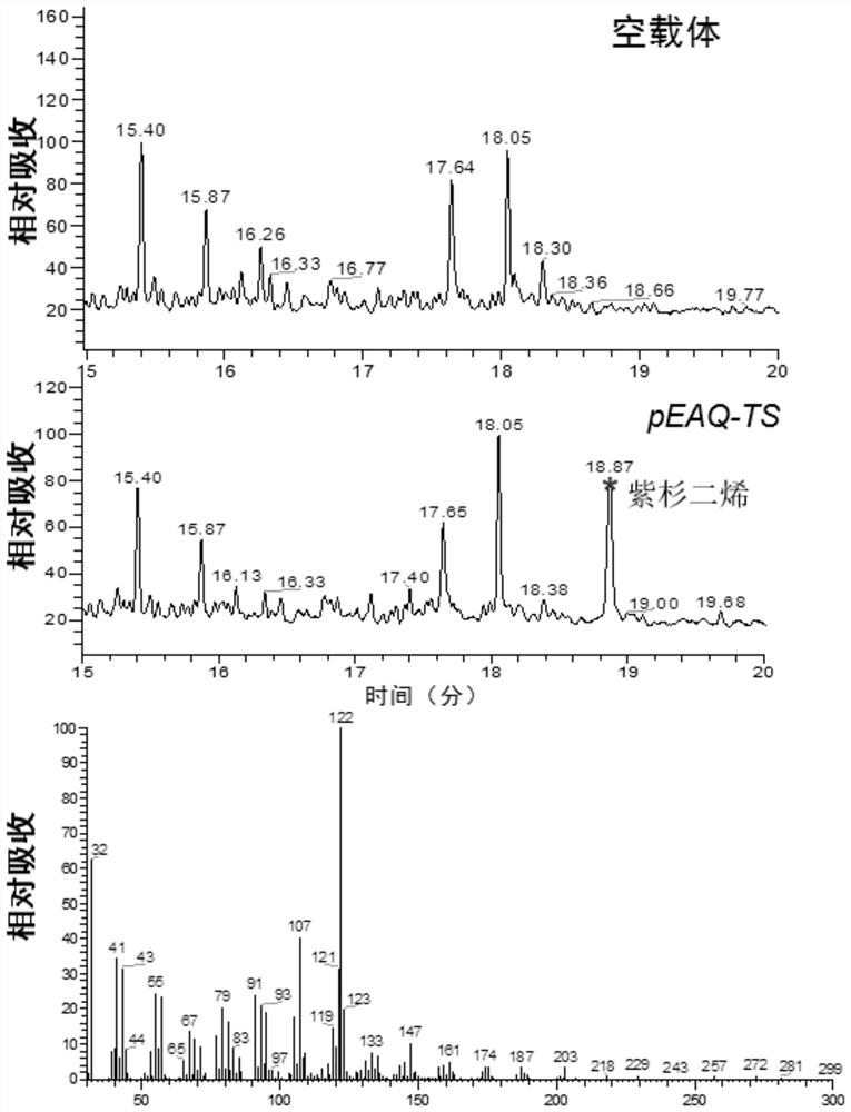 Fusion protein for producing 5[alpha]-hydroxytaxadiene and application of fusion protein