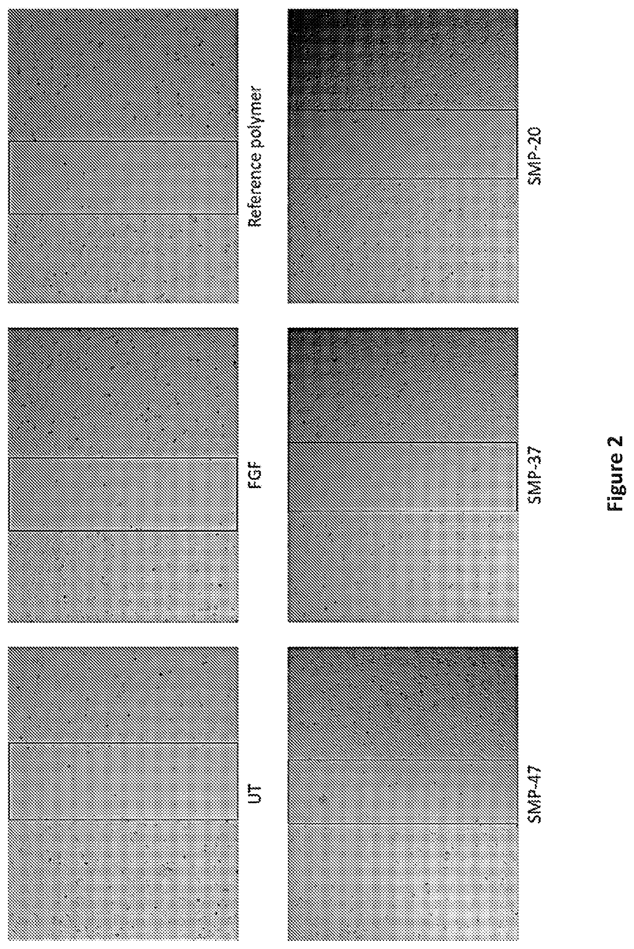 Compounds, compositions and methods related to antimicrobial applications