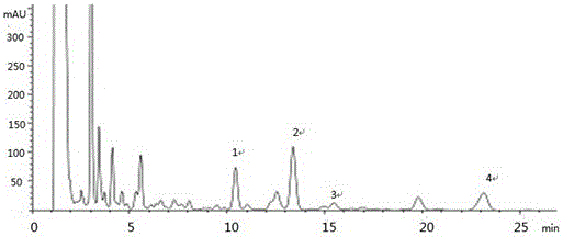 Method for Simultaneous Determination of Concentration of Ursolic Acid and Schisandra A, B, C