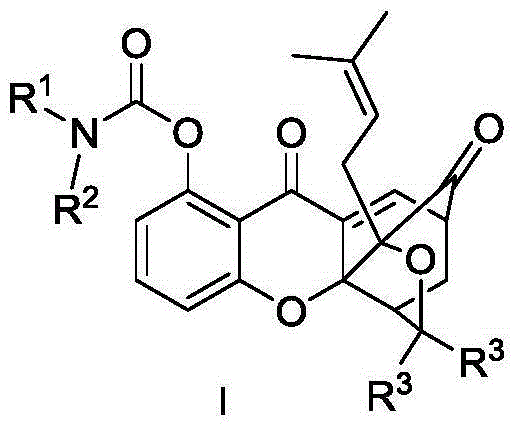 Carbamate endocyclic xanthone derivative and preparation method and medicinal application thereof