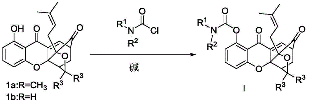 Carbamate endocyclic xanthone derivative and preparation method and medicinal application thereof