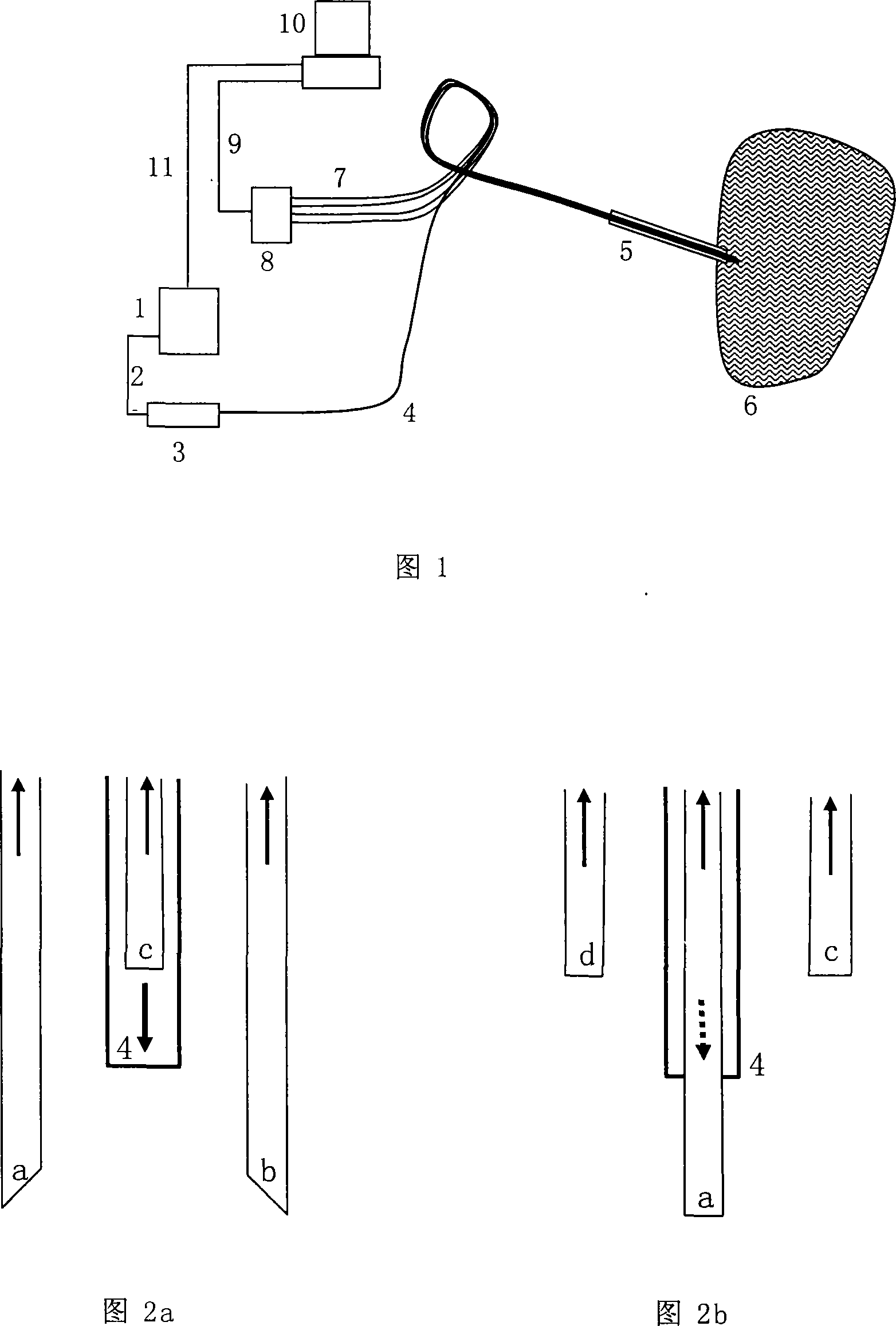 Optical system for detecting turbidity medium and biological tissue optical parameter and detecting method