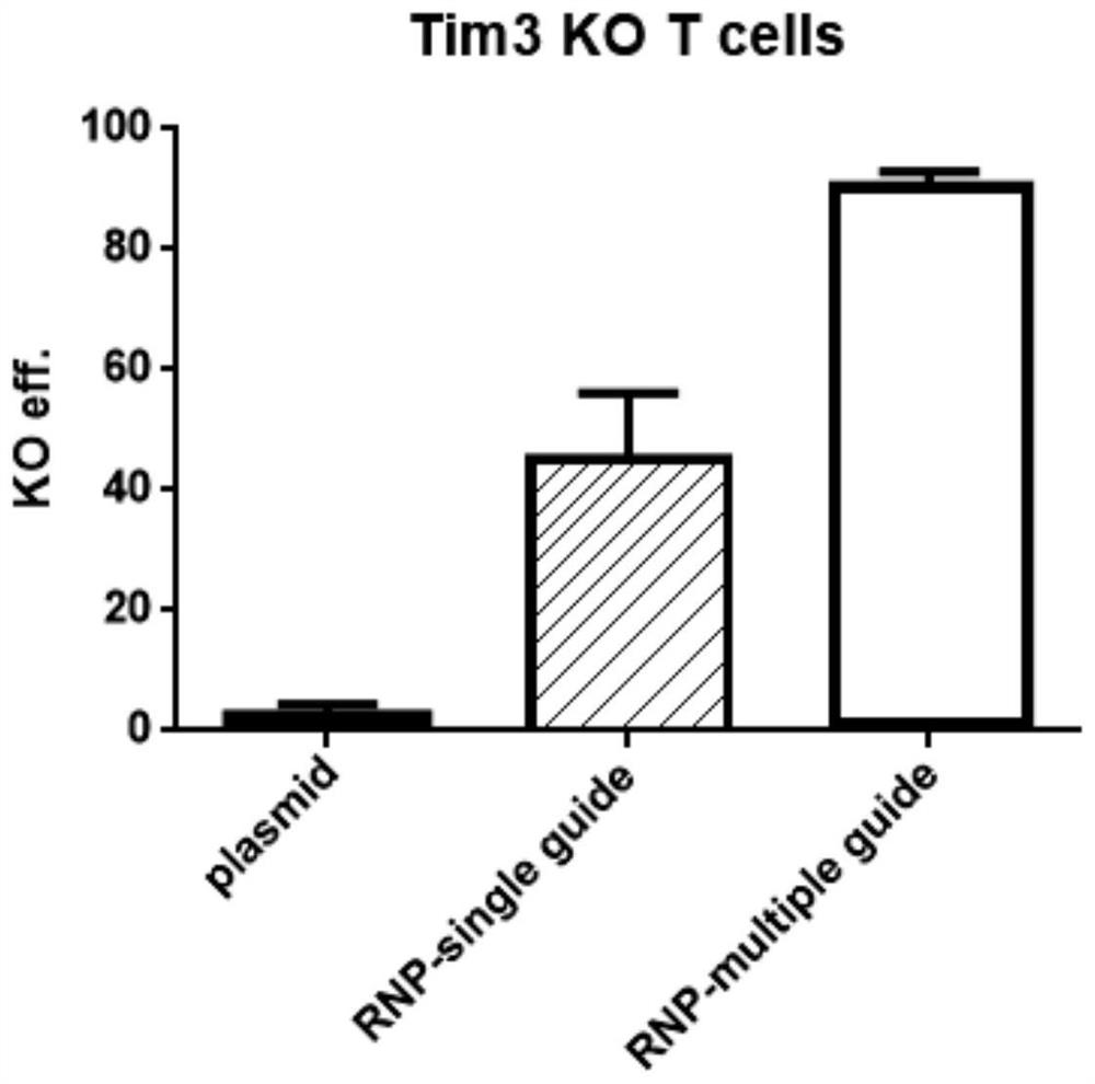 Method for knocking out Tim-3 gene to prolong survival of T cell in vivo