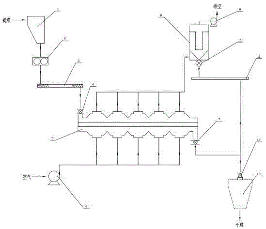 Brown coal drying equipment and method