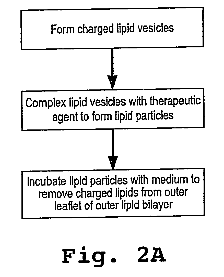 Lipid particles having asymmetric lipid coating and method of preparing same