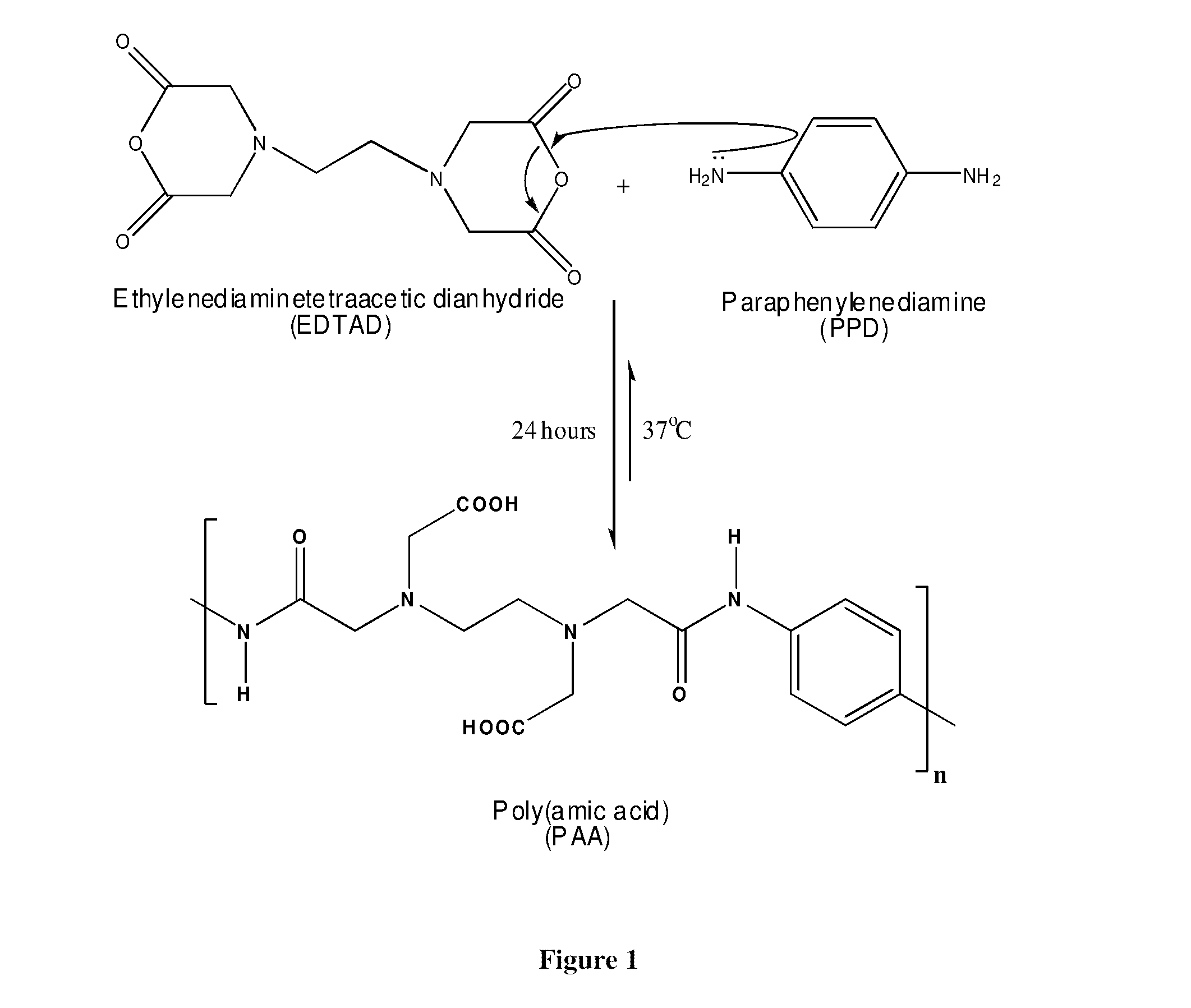 Biocompatible poly (amic acid) and method of preparation thereof