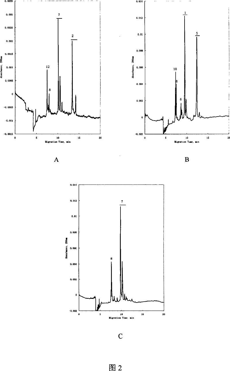 Acidic capillary electrophoresis identification method for high molecular weight glutelin subunit of wheat