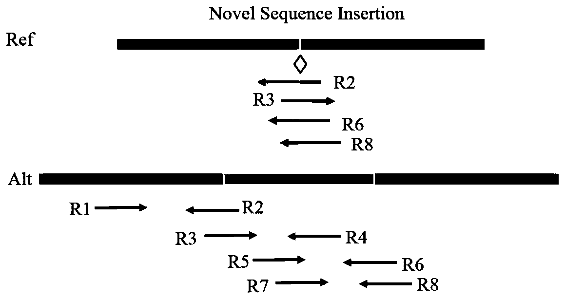 Insertion mutation detection method and system based on new-generation sequencing data