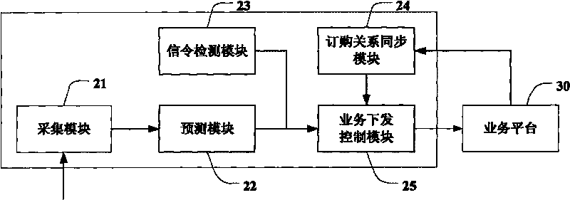 Subscription service issuing system and issuing method