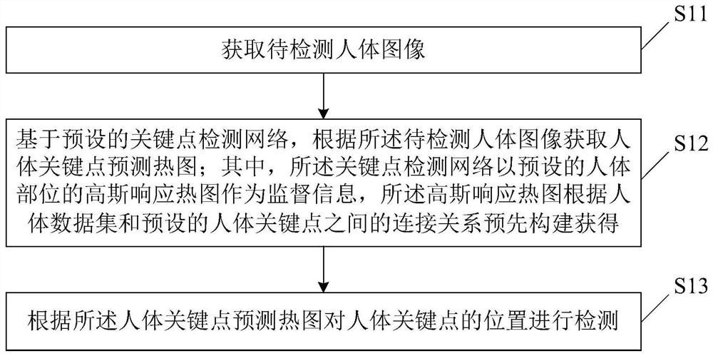 Human body key point detection method and device, storage medium and terminal equipment