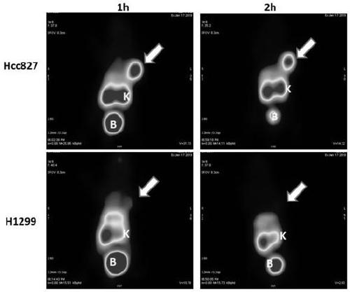 <sup>68</sup> Ga-labeled eaca-modified c-met molecular imaging probe and its preparation and application