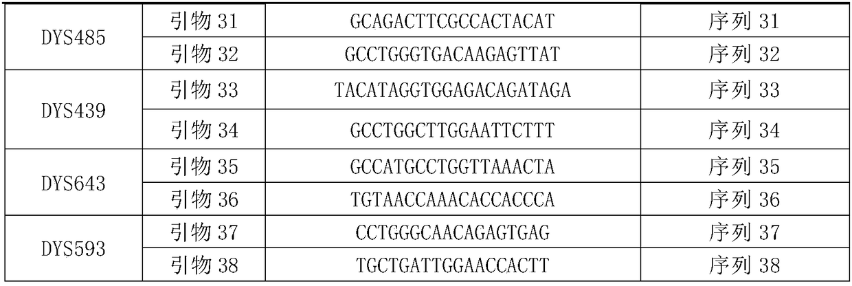 Kit for detecting Y-STR gene locus based on next-generation sequencing technology and special primer combination thereof