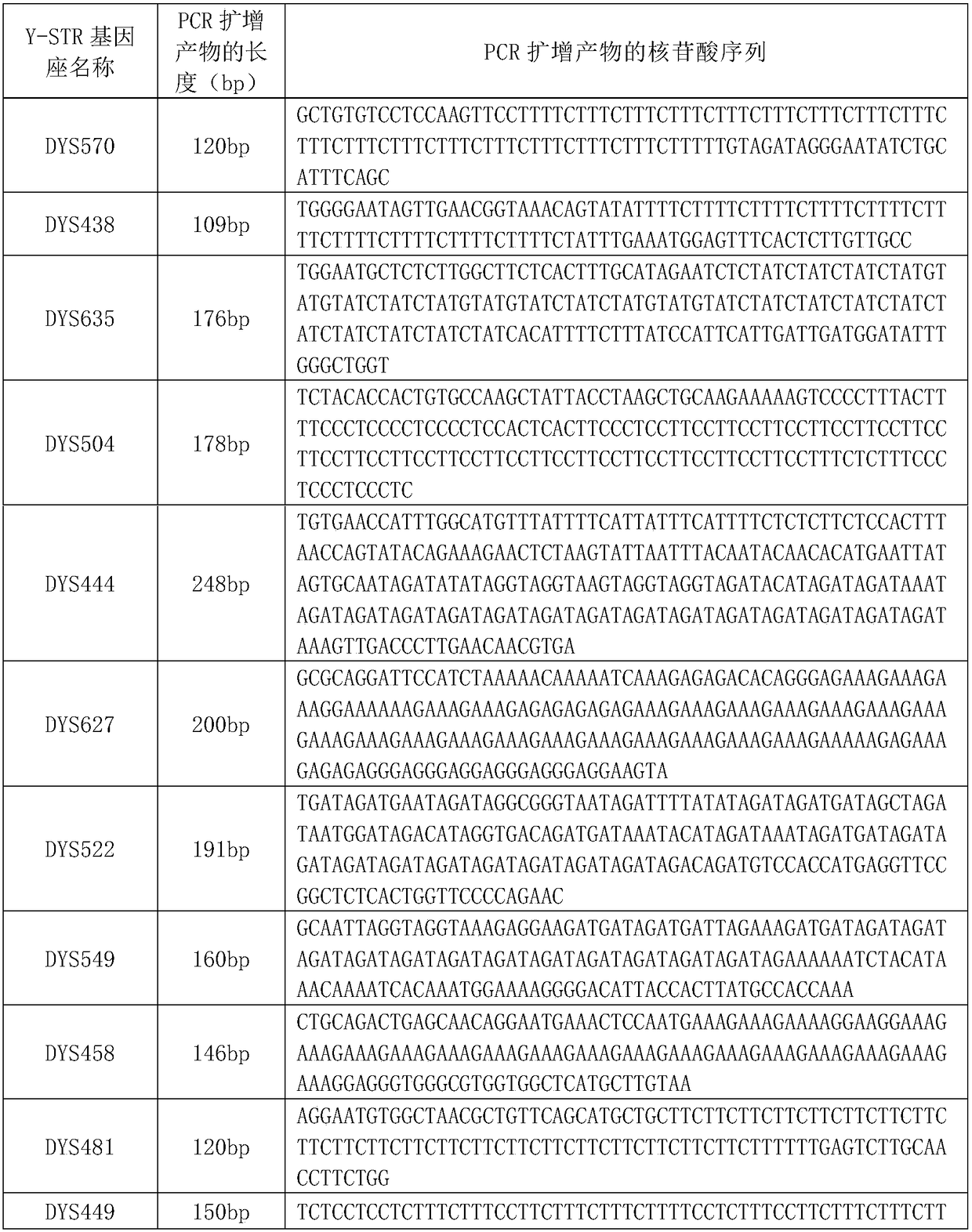 Kit for detecting Y-STR gene locus based on next-generation sequencing technology and special primer combination thereof
