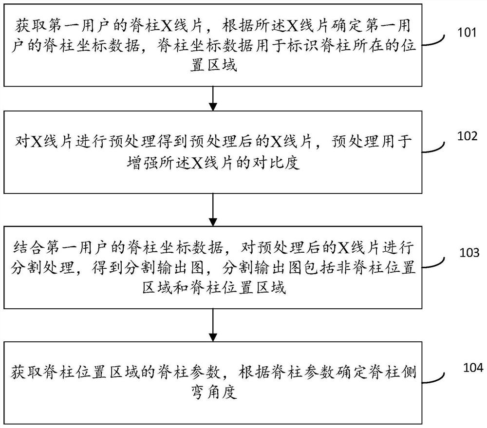 Scoliosis prediction method and device, electronic equipment and storage medium