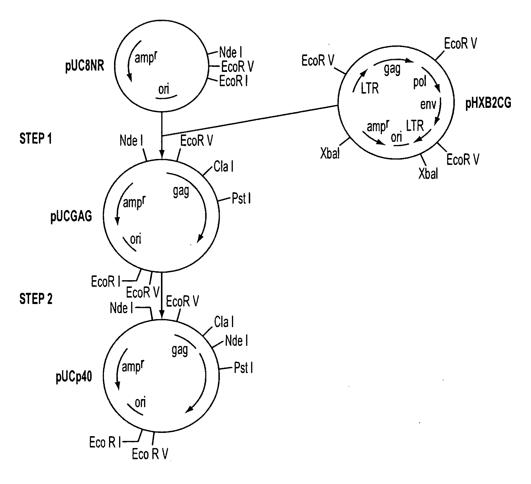 Method for detecting nanbv associated seroconversion