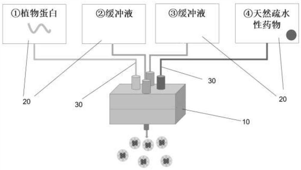 Preparation method of drug-loaded vegetable protein nanoparticles