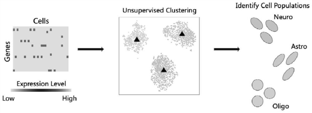Single-cell RNA sequencing clustering method based on adversarial autoencoder