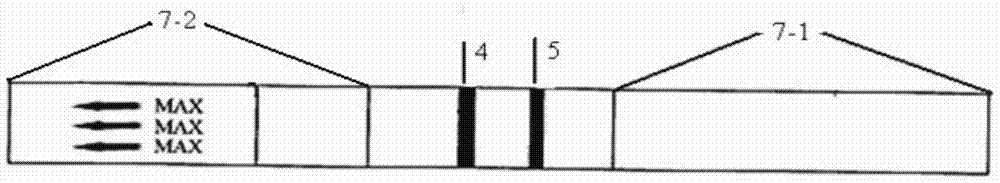 A kit and method for detecting Tilletia dwarf