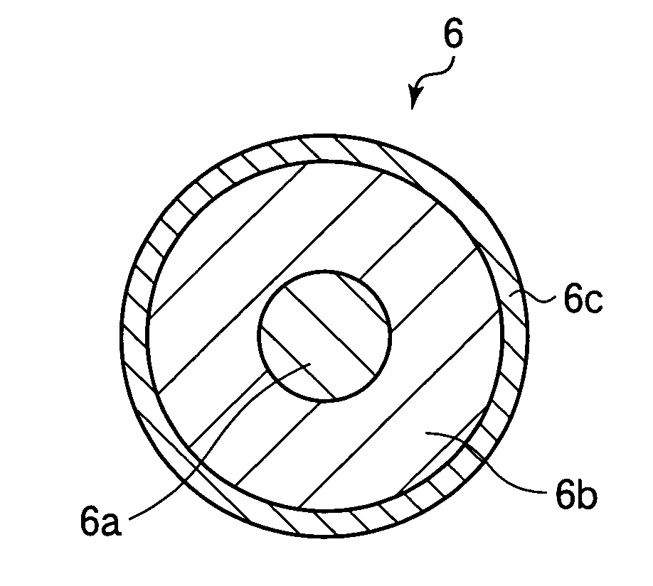 Developer bearing body and image forming apparatus