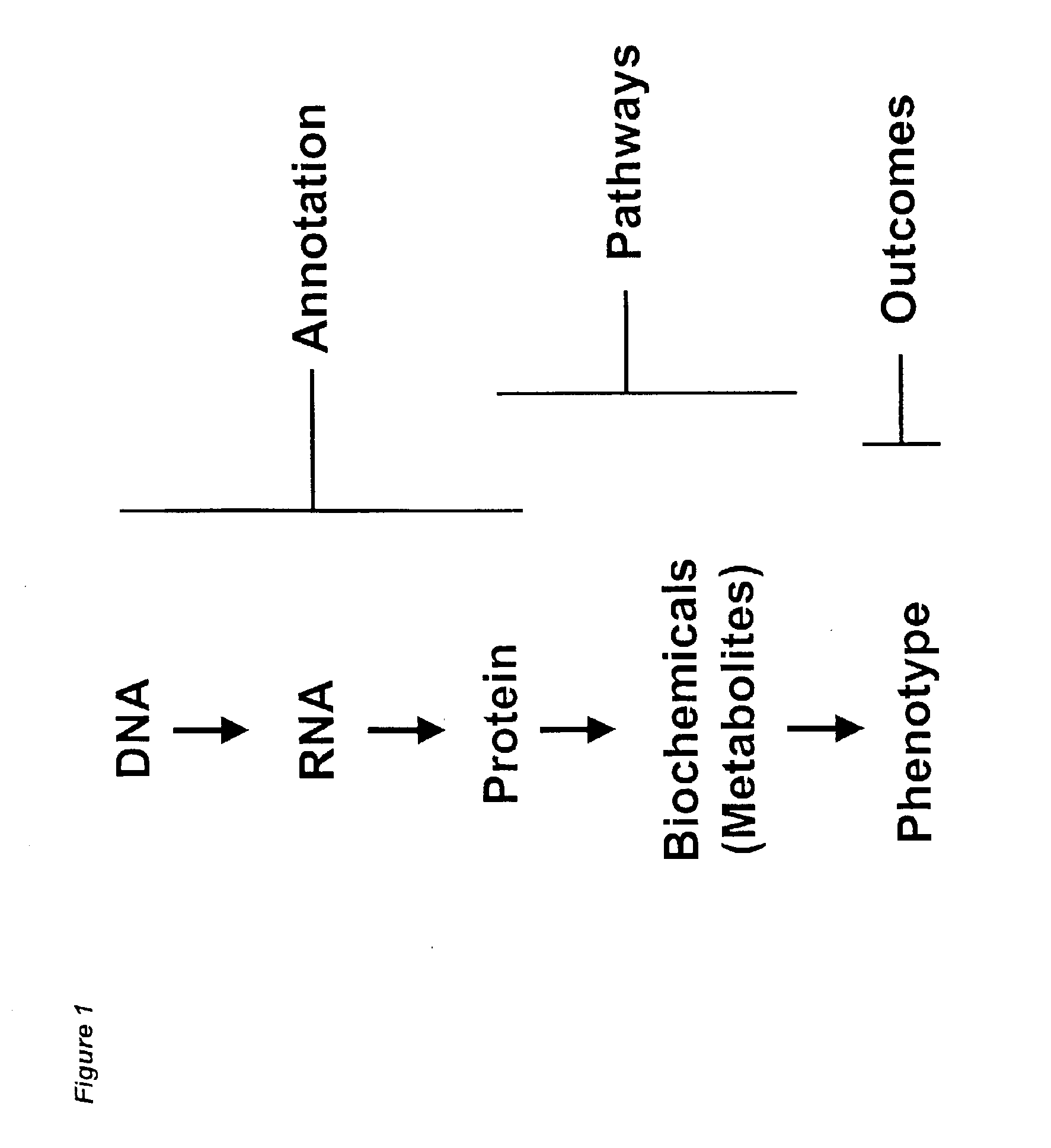 Methods and systems for analyzing complex biological systems