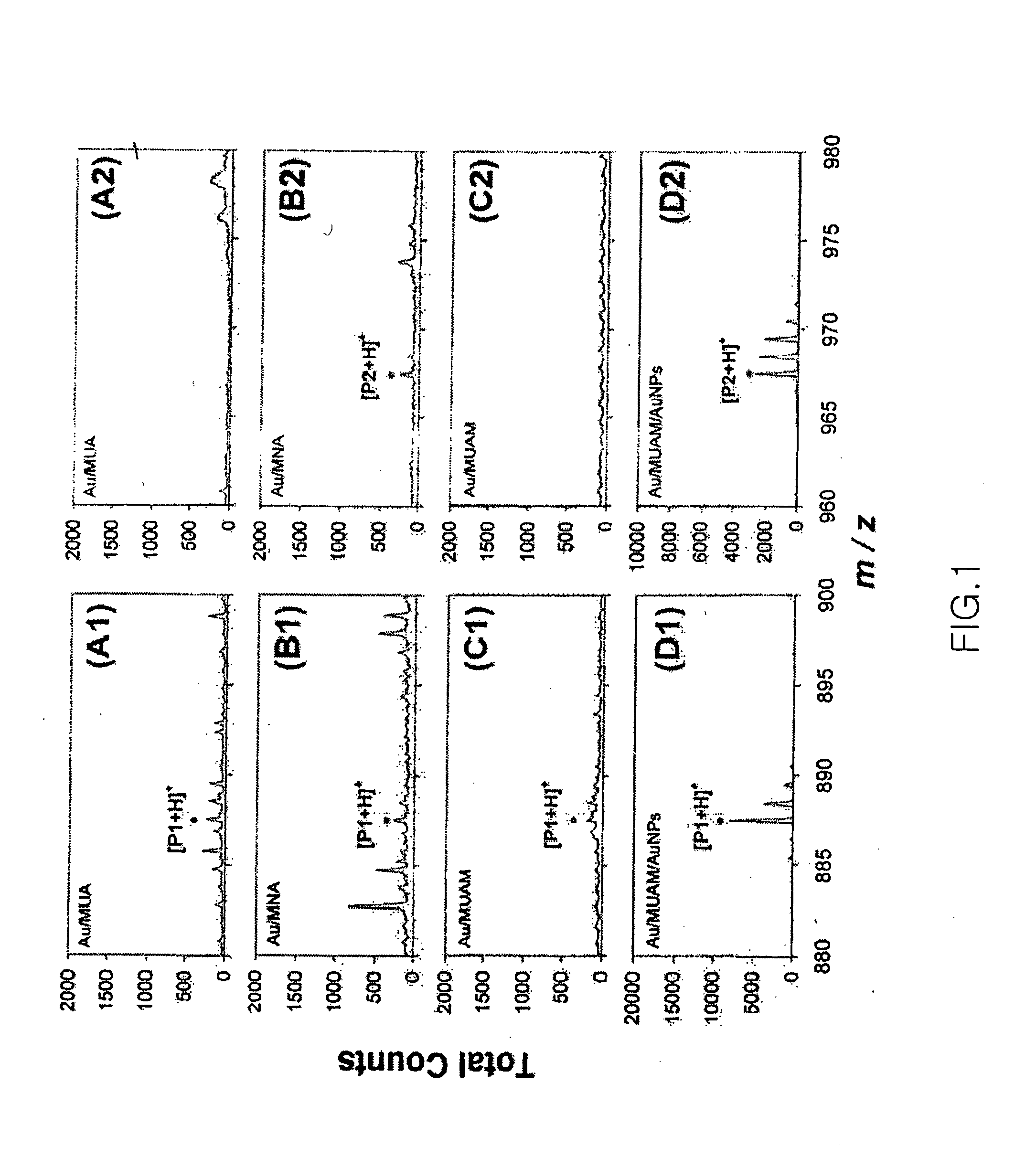 Novel construction of gold nanoparticle-based peptide chip, and assaying enzyme activity and inhibitor effect using secondary ion mass spectrometric analysis thereof