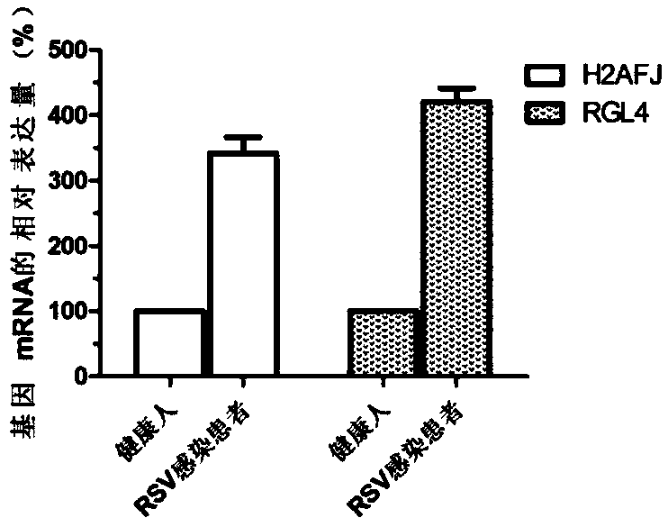 Molecular marker for child respiratory syncytial virus infection and application of molecular marker