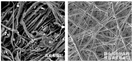 Preparation method of simulated leather grain surface layer nanofiber biomimetic membrane
