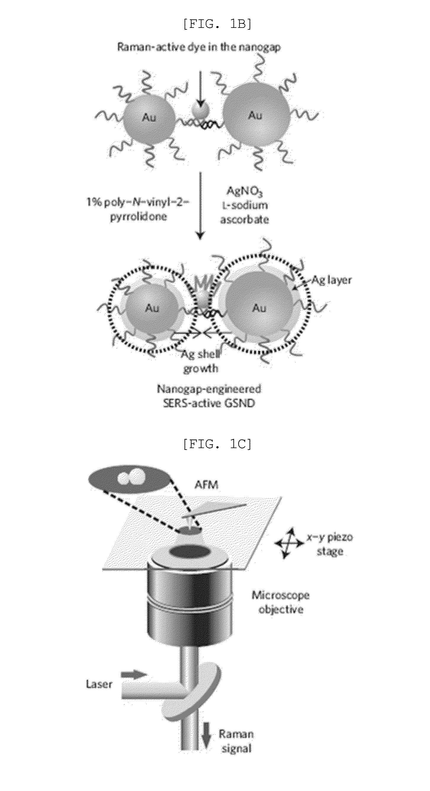 Heterodimeric core-shell nanoparticle in which raman-active molecules are located at a binding portion of a nanoparticle heterodimer, use thereof, and method for preparing same