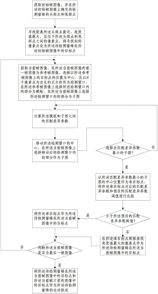 Non-marking image detection method and system of bee motion tracks