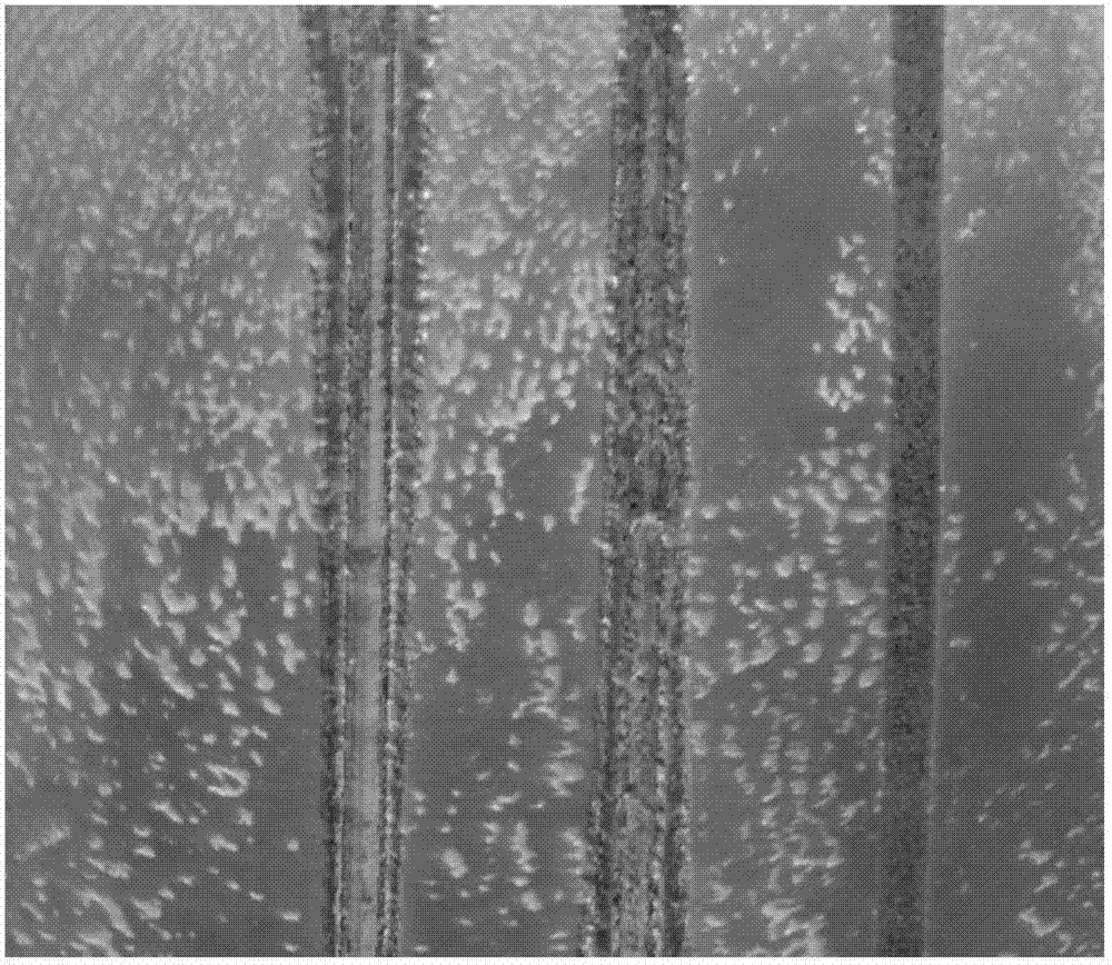 Laser welding method capable of avoiding slag inclusion and improving laser absorptivity of aluminum alloy