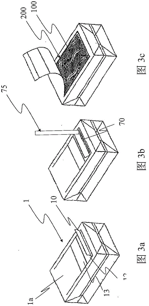 containers for food