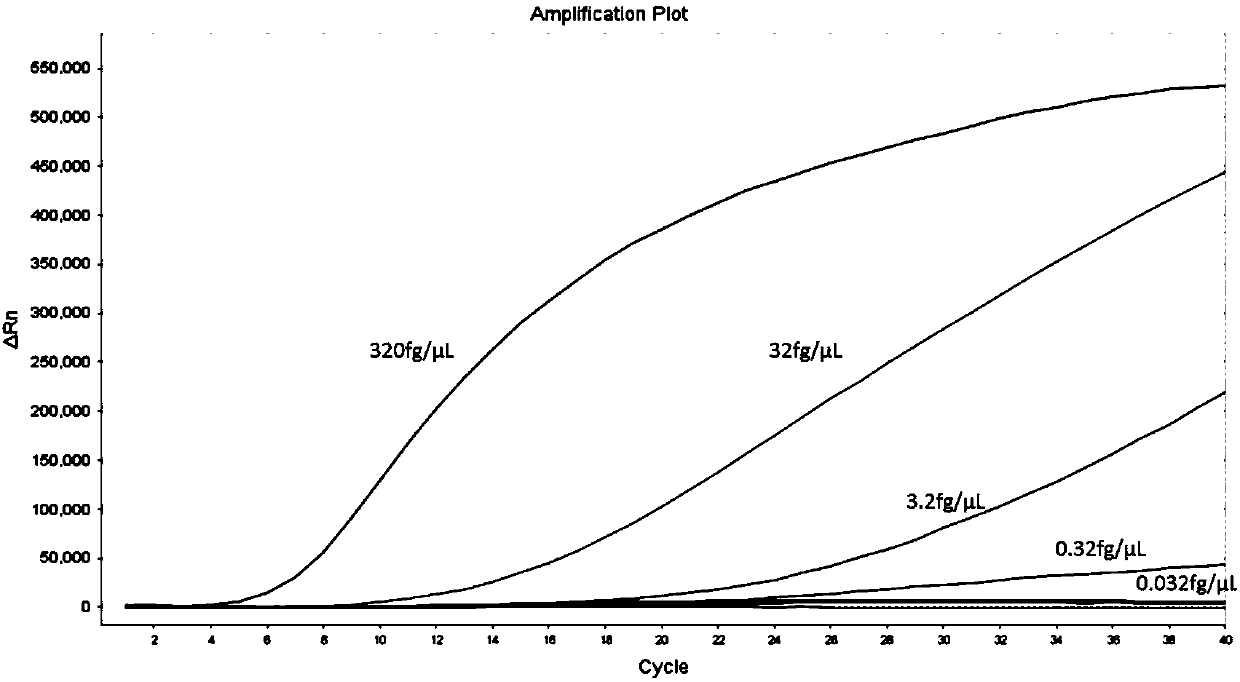 Recombinase-aid amplification (RAA) thermostatic fluorescence detection method of infectious hypodermal and hematopoietic necrosis virus (IHHNV), and reagent
