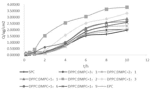 Compound phosphatide transfer body with high deformability and application thereof in preparing transdermal drug delivery preparation