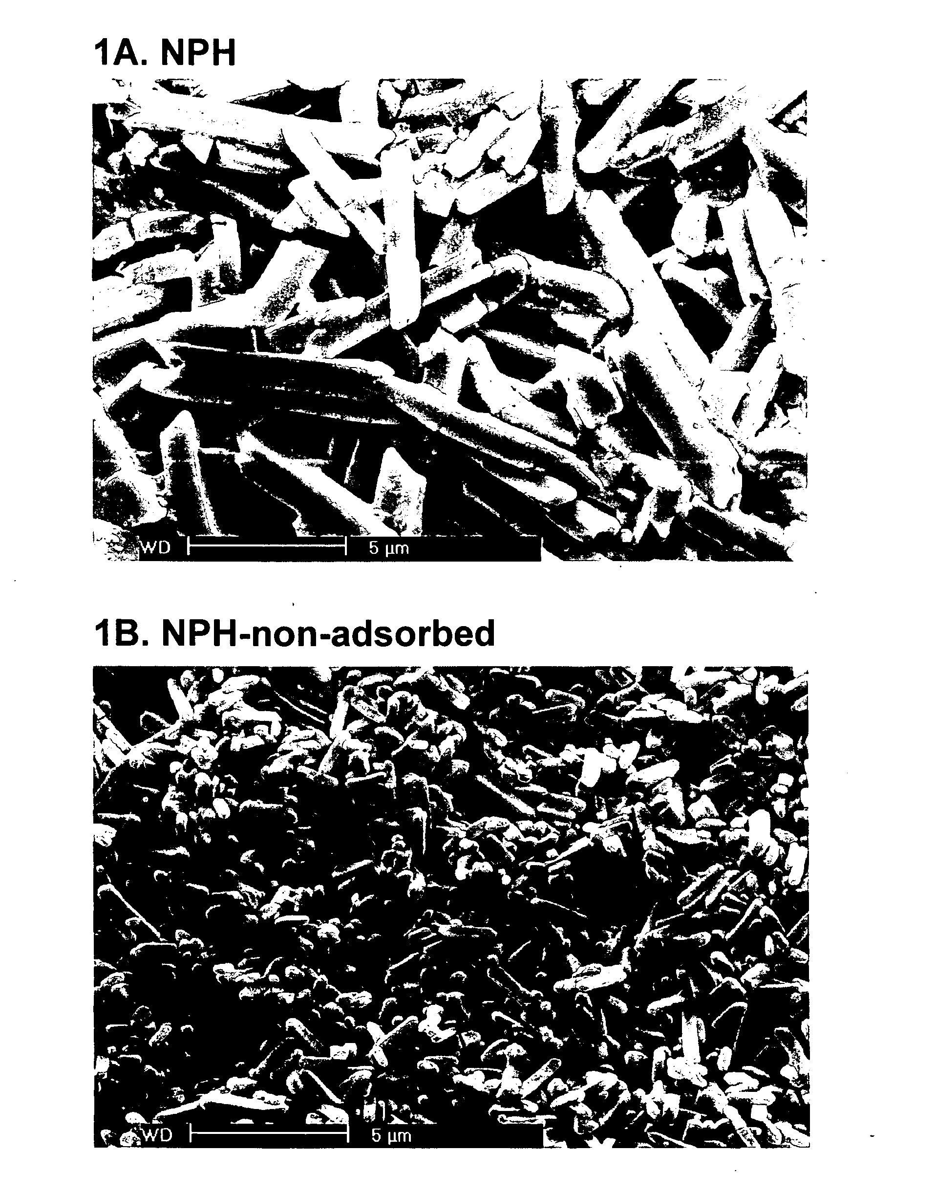 Crystalline compositions for controlling blood glucose