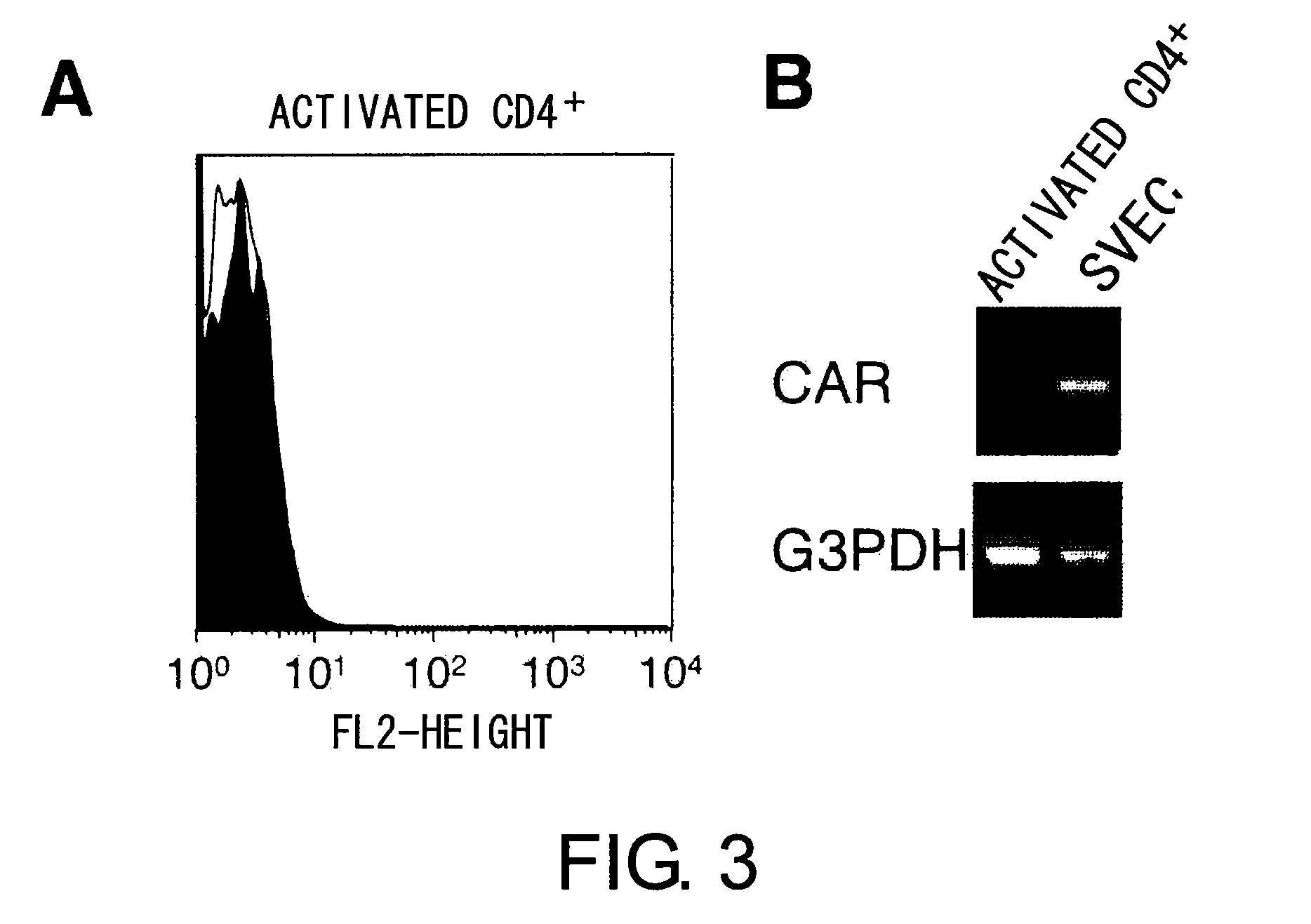 Methods for detecting Th1 cells