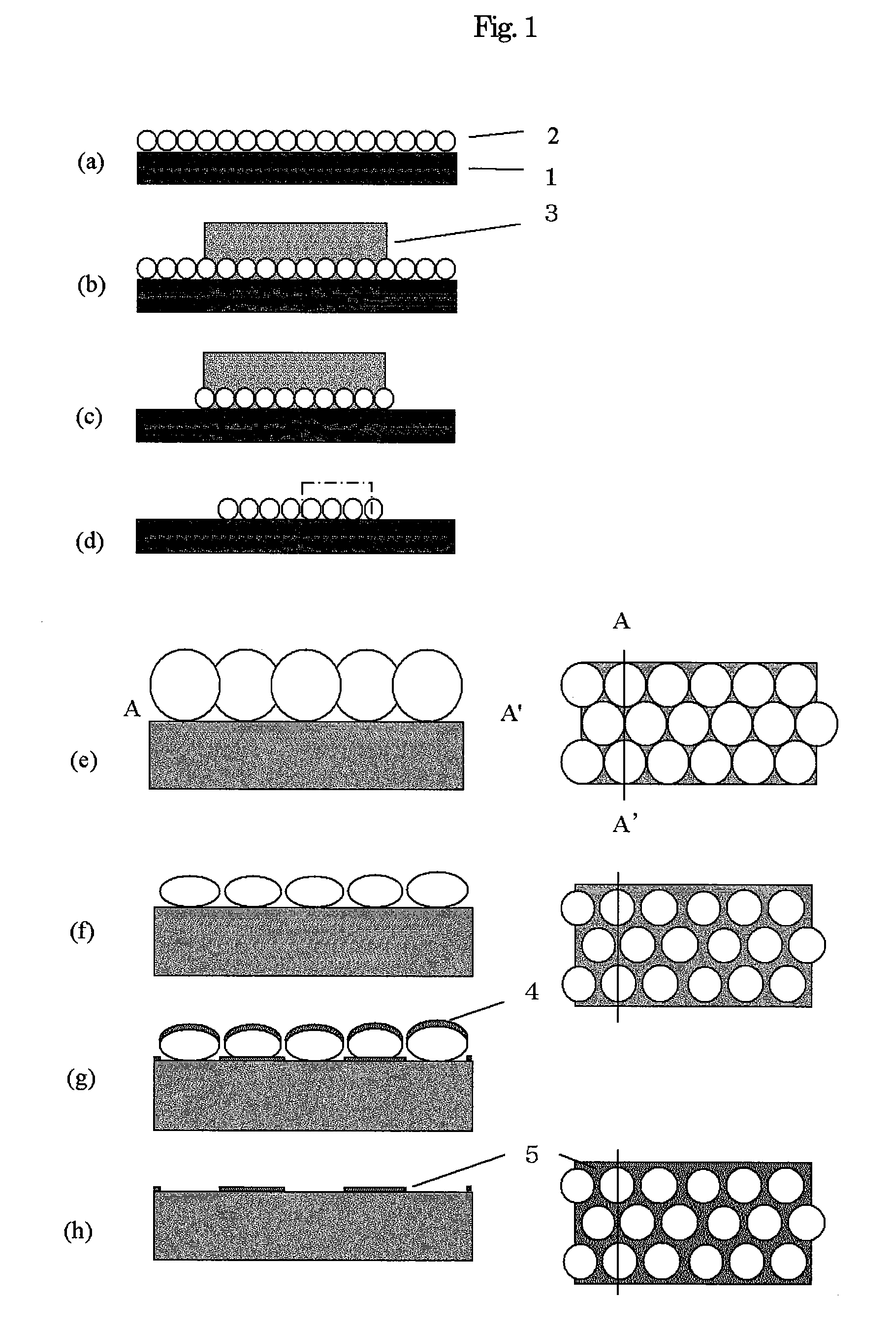 Method for Fine Processing of Substrate, Method for Fabrication of Substrate, and Light Emitting Device