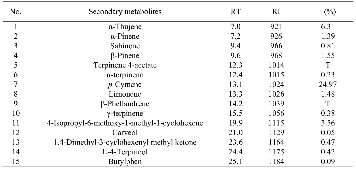 Method and device for extracting nigella plant seed volatile oil and application of volatile oil