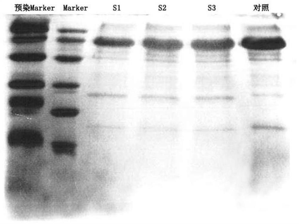 A kind of purification method of lentivirus