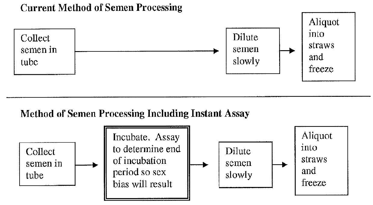 Methods for improving fertility and selectivity for desired offspring sex in artificial insemination