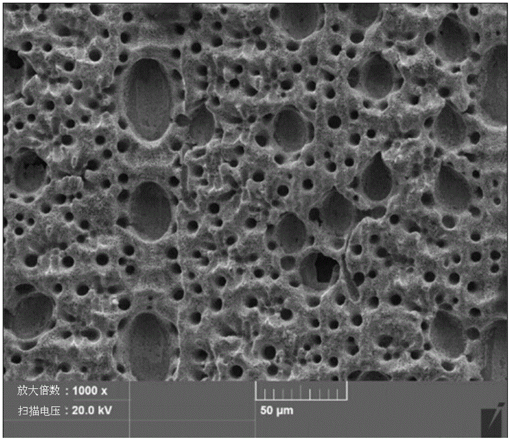 Mold core with copied natural biological super-hydrophobic surface as well as preparation method and application of mold core