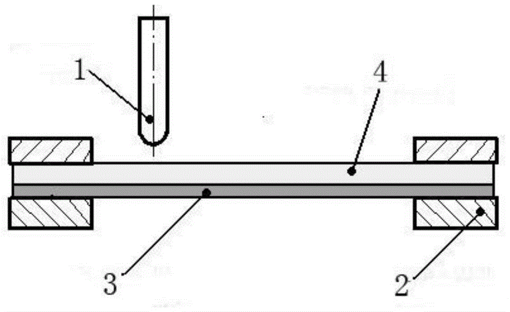 A progressive forming method of polymer sheet based on metal backplane support