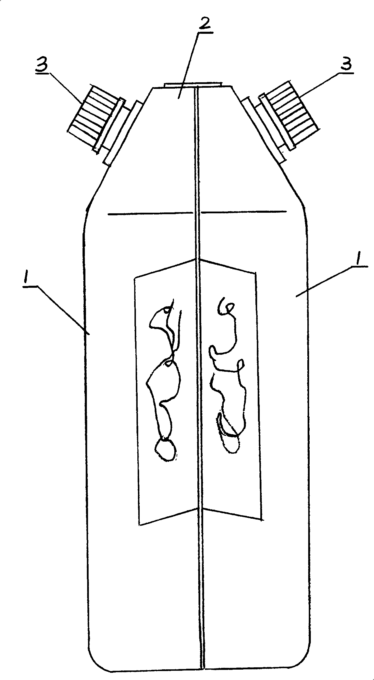 Multi-mouth bottle and bottles produced thereby