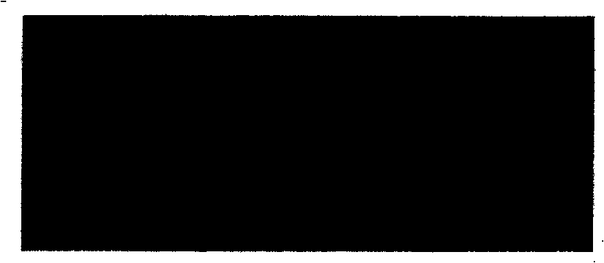 Large-shearing carrier-frequency electronic speckle interference displacement field separating method