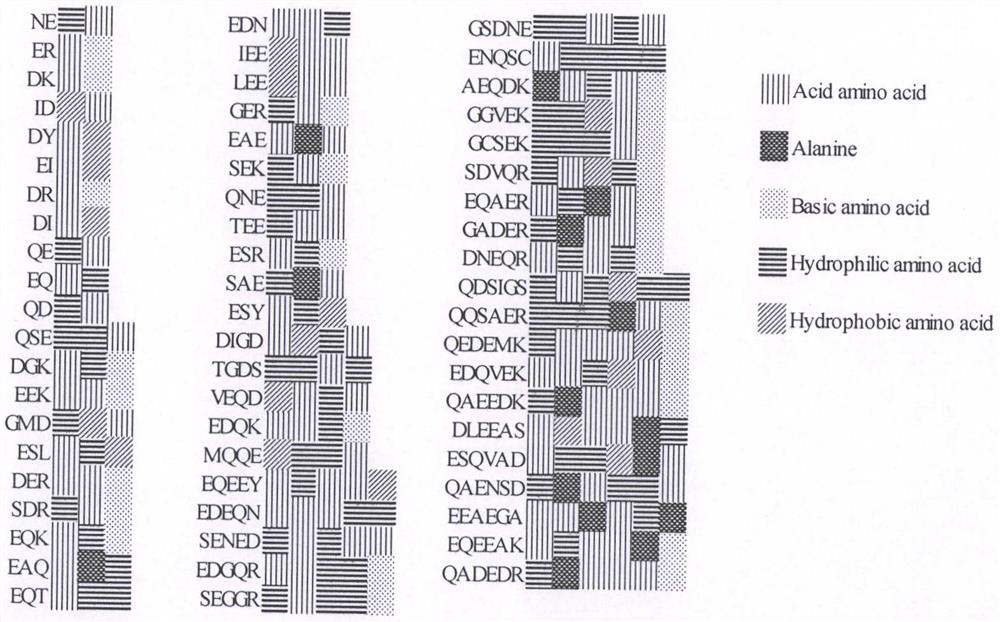 Active peptide derived from myosin and its application